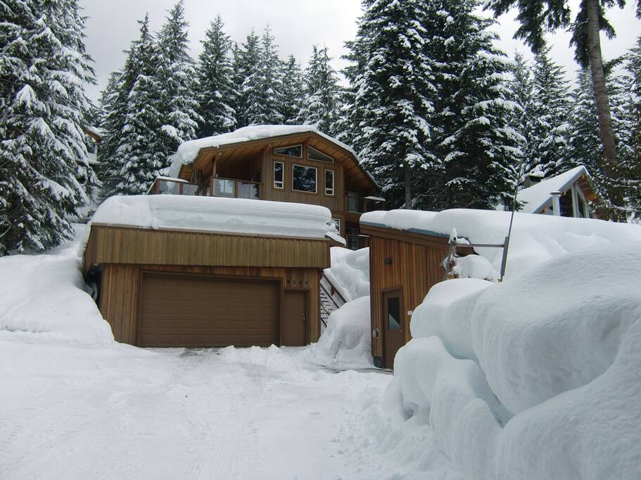 Winter wonderland