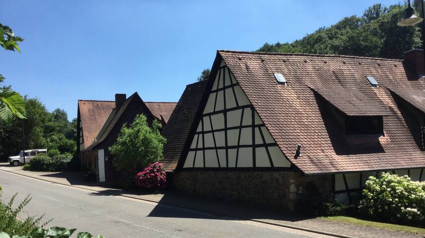 Historische Mühle bei Heidelberg - Häuser zur Miete in ...