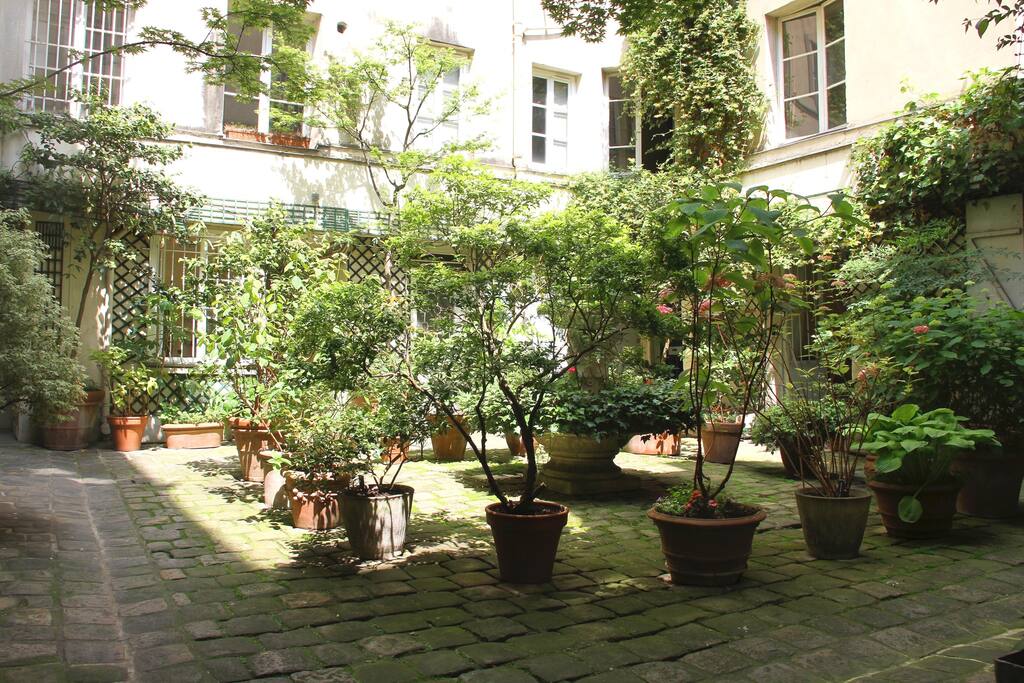 View since the porch