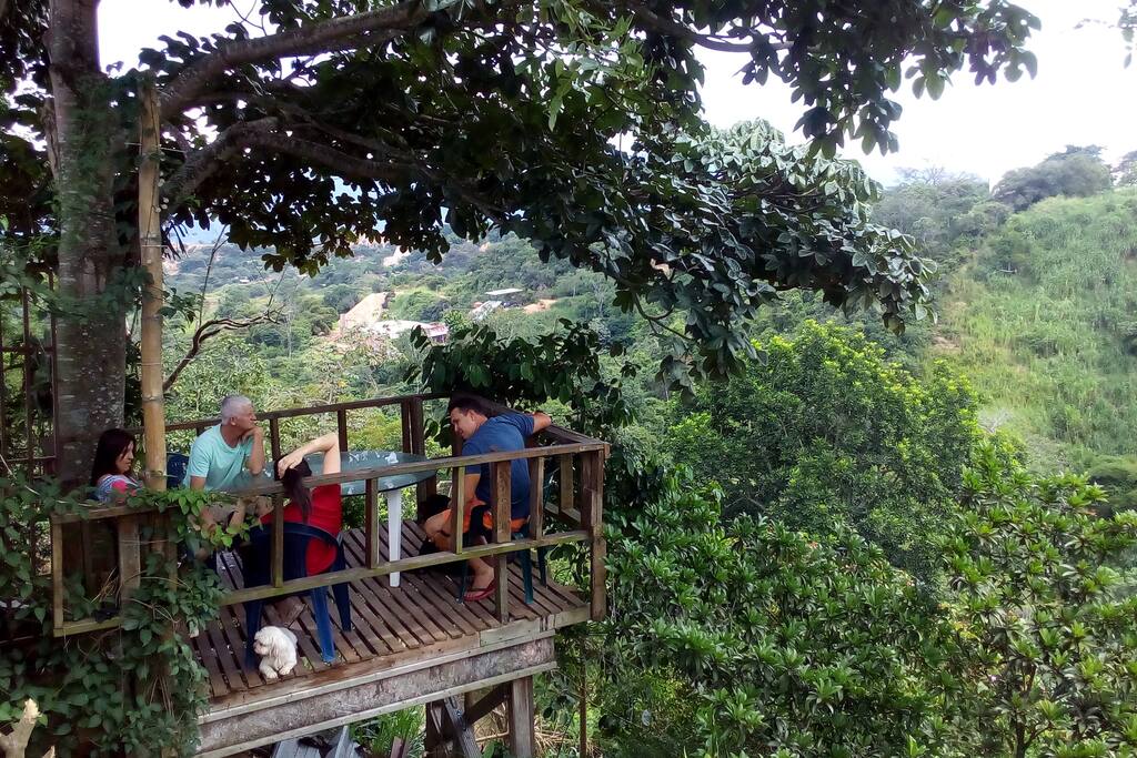 Nuestra casa es un pequeño oasis natural en la ciudad.