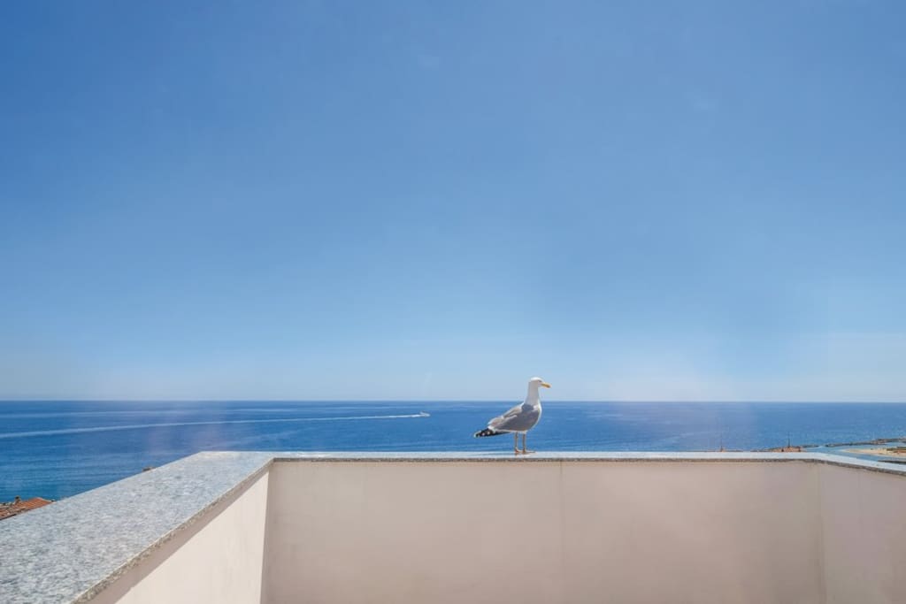 Terrazza / terrace