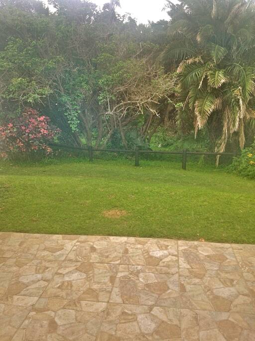 Back patio!