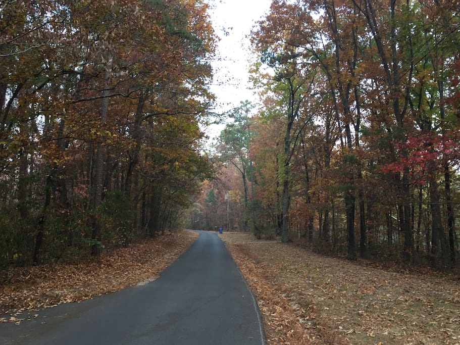 Private lane leading to home.