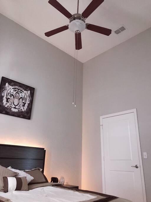 Wonderful 14 ft ceilings in a spacious room!