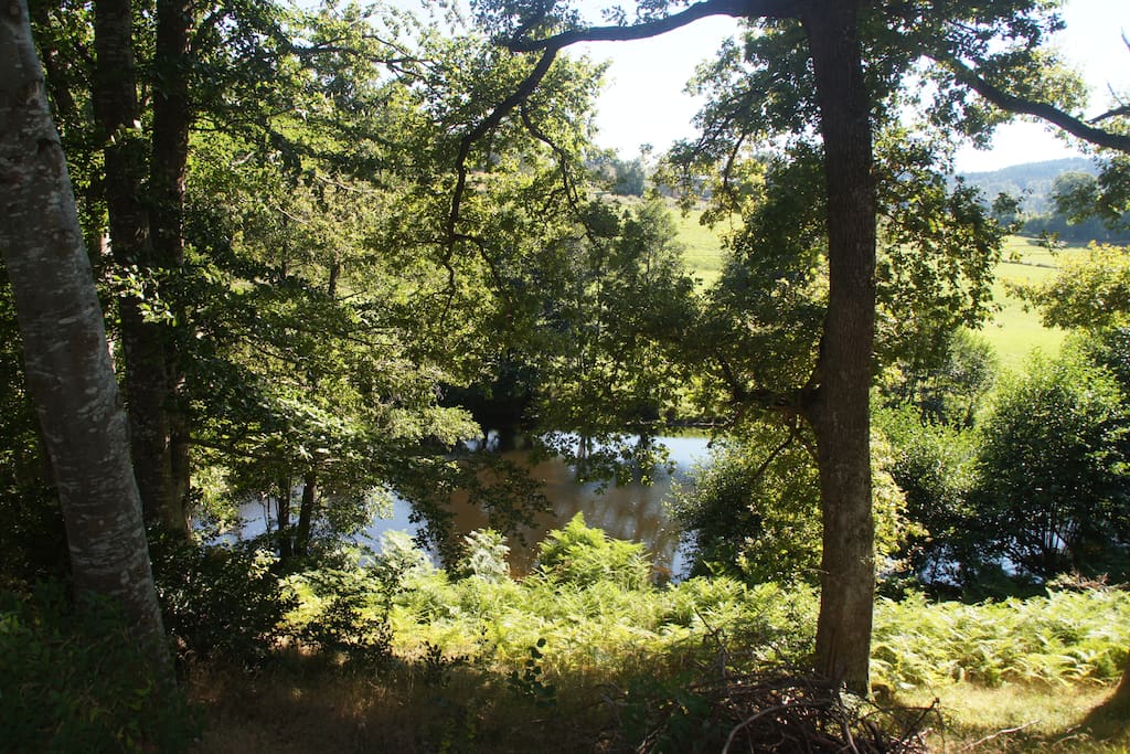 camping Les Murmures du Lignon, Tence
