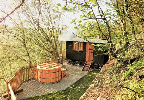 Eileen's cosy hut