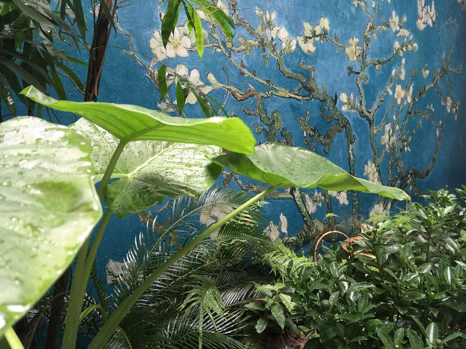 plants
