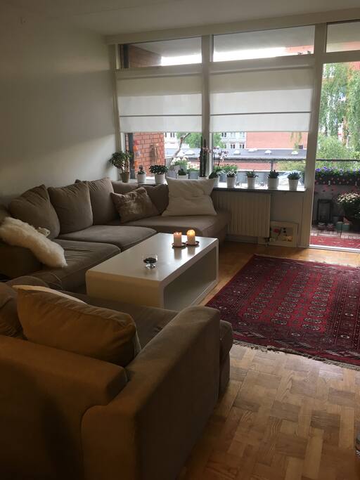 Soft and cozy sofas