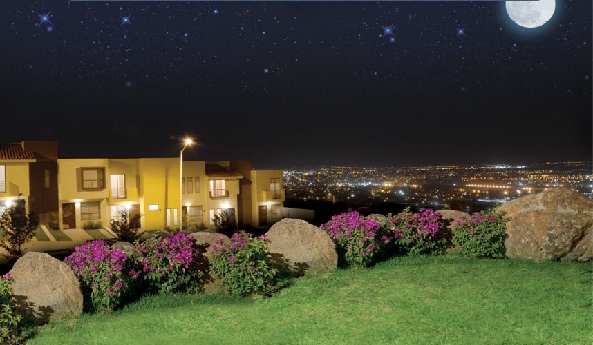 A well-maintained garden features vibrant pink flowers and large rocks, set against a backdrop of residential buildings. The view captures a sprawling city illuminated by lights under a clear night sky, with a bright moon and stars visible above.