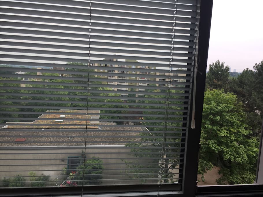 This is how it looks like out the window,Bird sounds are mostly relaxing me and helping to sleep better.Thanks to guy who came with that idea