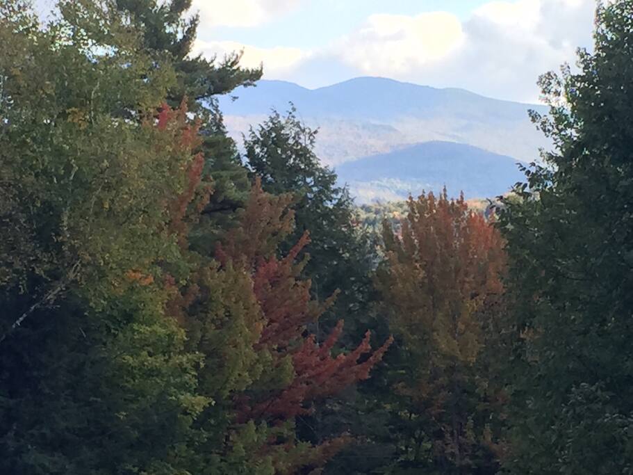 Great view of the Worcester range.