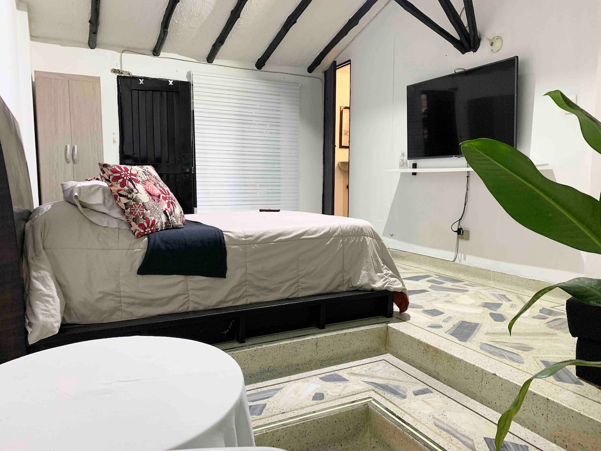 A spacious room features a large bed with neutral-toned bedding and decorative pillows. A TV is mounted on the wall opposite the bed. Natural light enters through a window. Decorative plants and unique floor tiles contribute to the room's design.