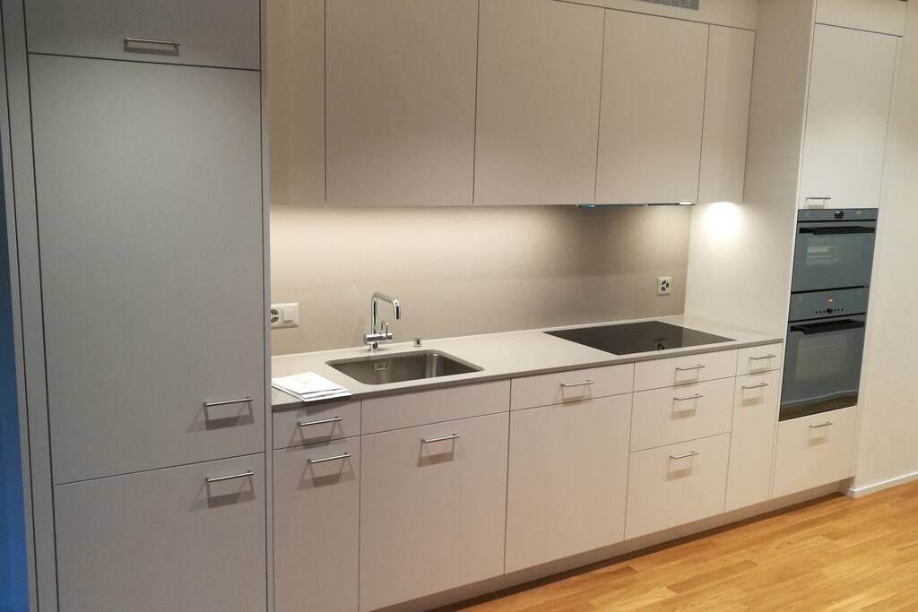 Modern Kitchen, Fridge, Freezer, Oven, Steamer