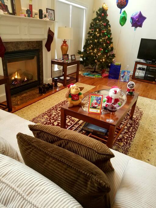 Main living area with fireplace