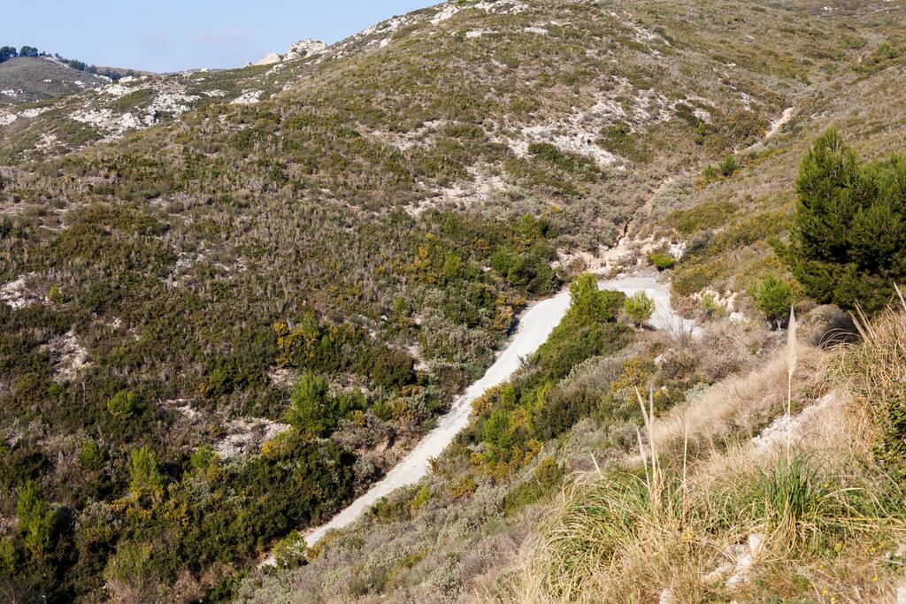 Par un chemin buccolique nous monterons au studio