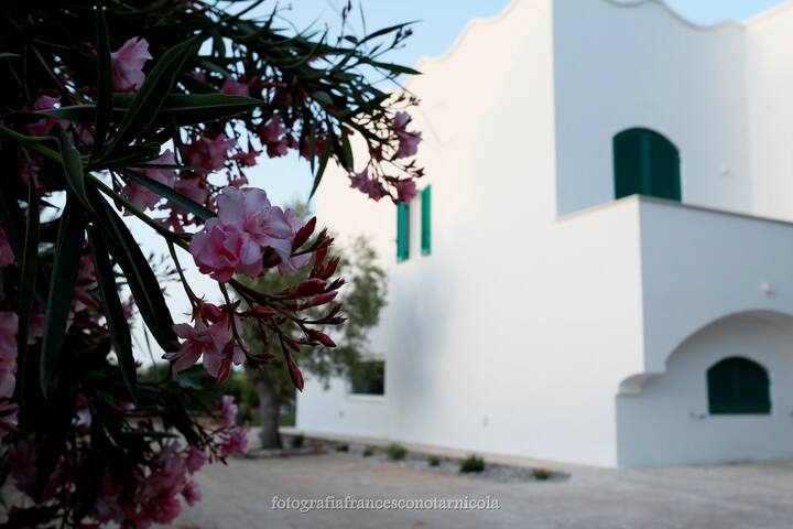 Residenza Lippolis – Top Villa with Pool in Puglia gallery image 3
