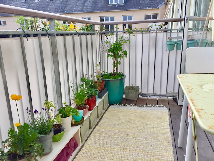 Eating space, plants and sun