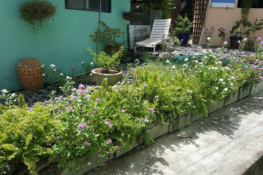 accès à la maison 1