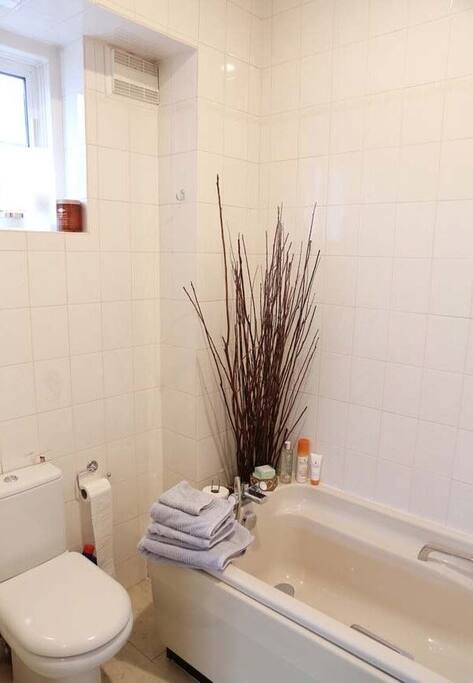 Bathroom has full rain shower as well as tub.