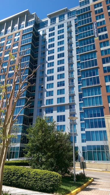 The Building