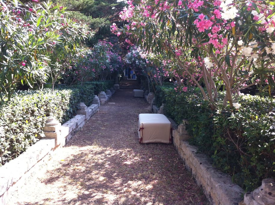 Viale