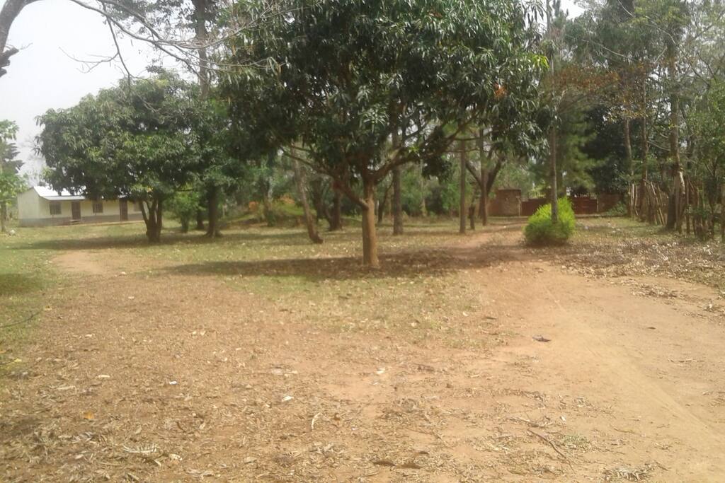 General of ground and gate