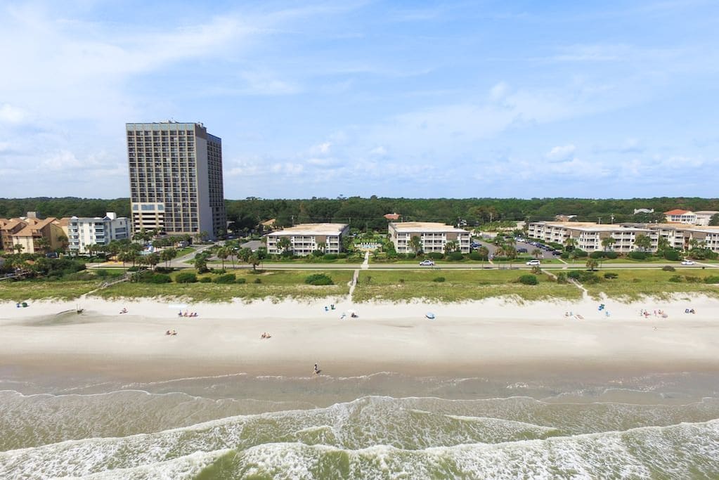 Ocean Forest & Beach from the Air