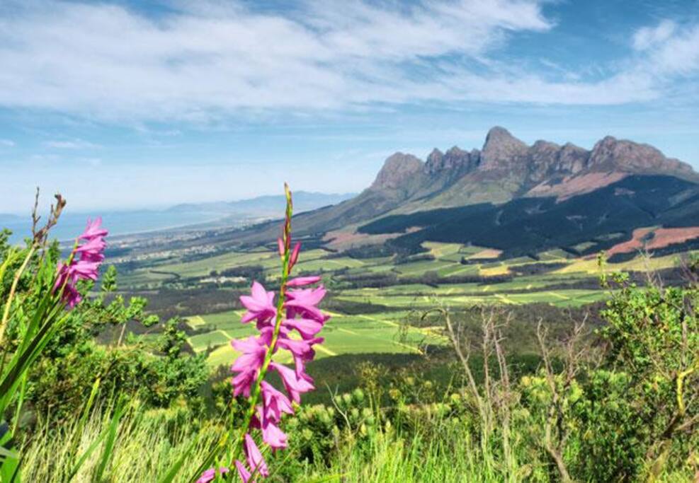 Photo of Somerset West area