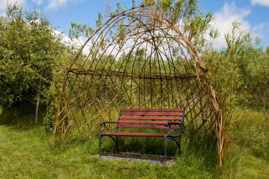 The living willow arbour in the garden, which overlooks the pond.