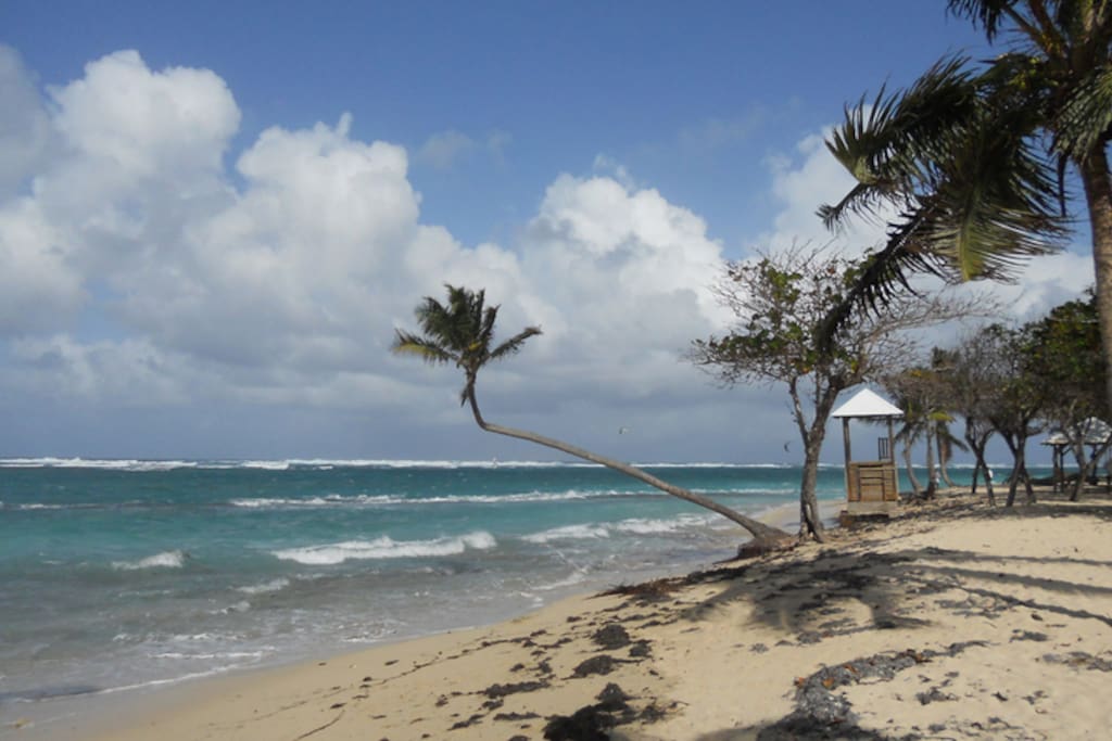 Beach, steps away from home