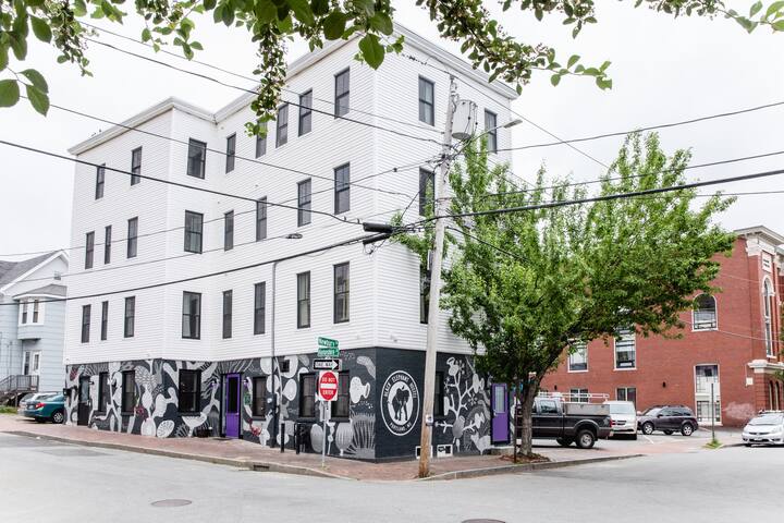 Black Elephant Hostel managed Airbnb listing 1