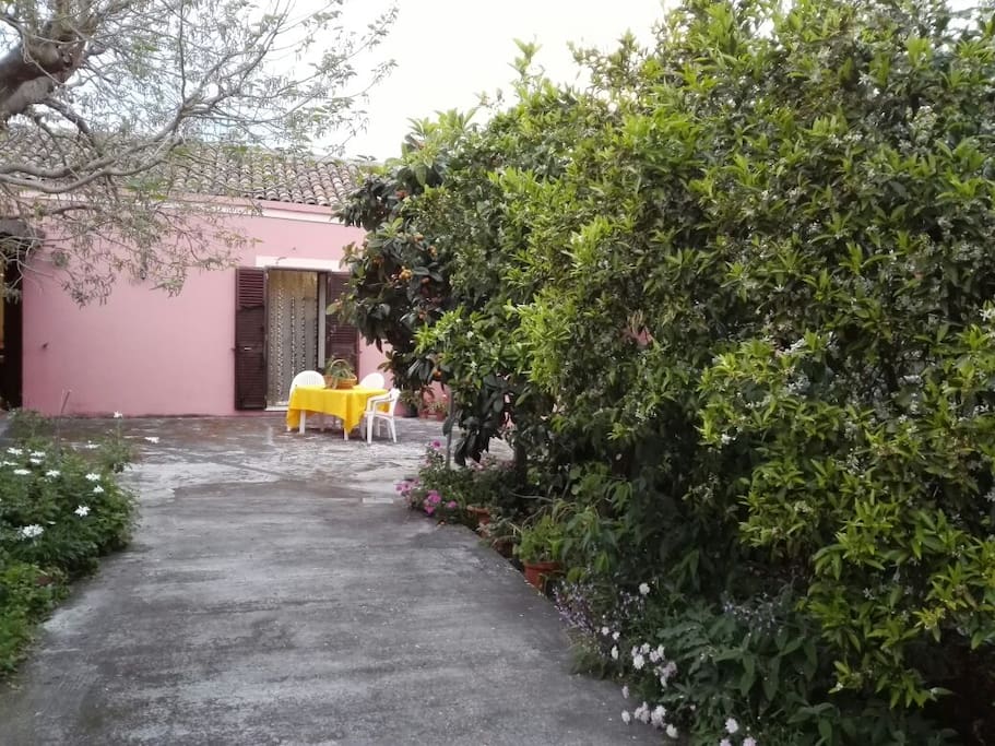 Ingresso