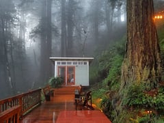 Romantic+studio+in+the+California+redwoods.