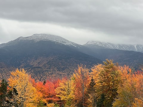 Hidden Gem of a Cottage with astounding views
