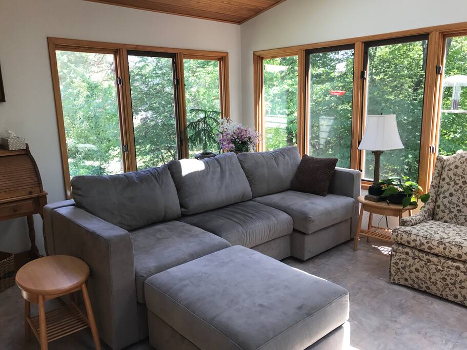 Come and relax on the cozy Lovesac Sactional sofa and watch the birds.