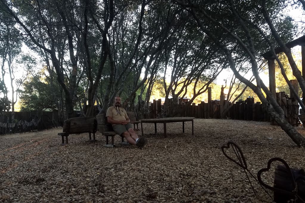 Shaded woods for late risers