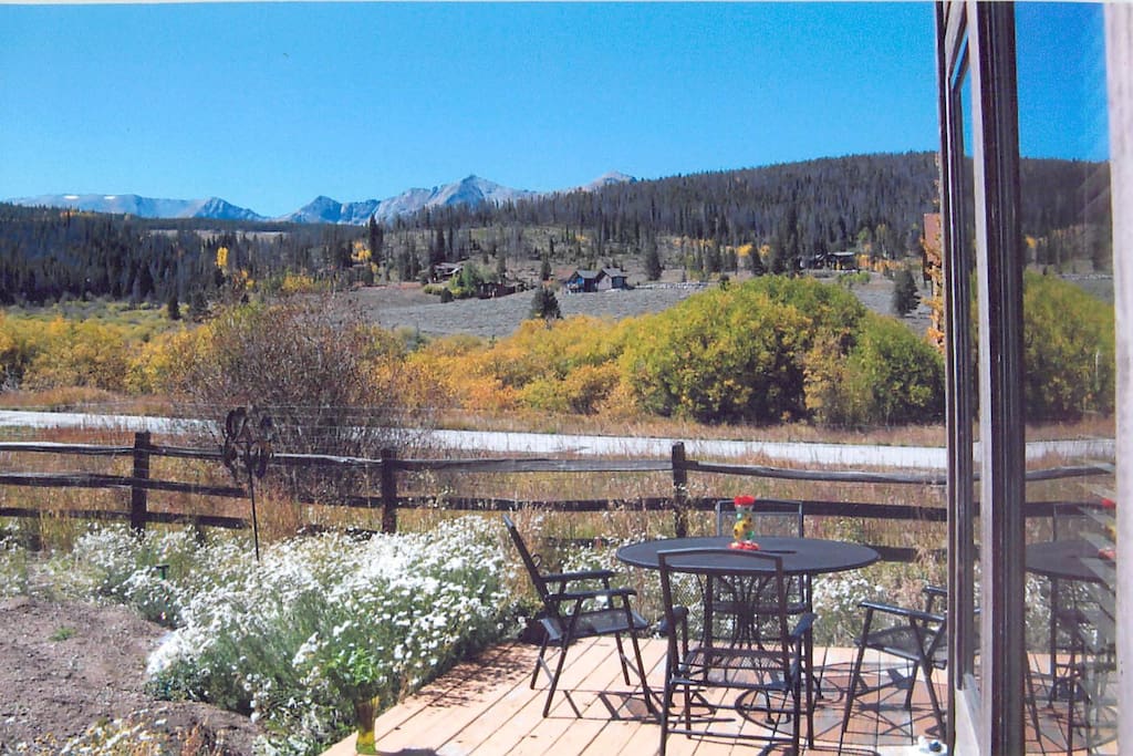 Back yard view