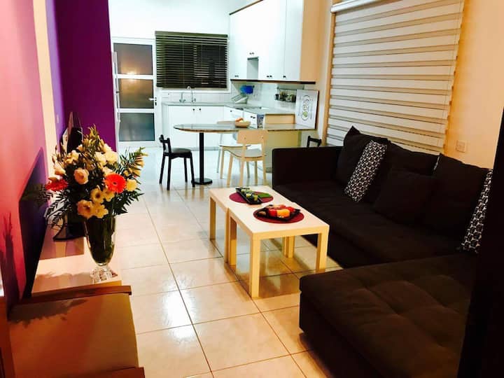 Modern Private Apartment In Nicosia - Nicosia