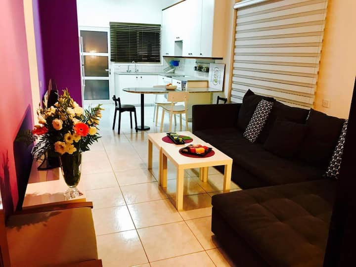 Modern Private Apartment in Nicosia