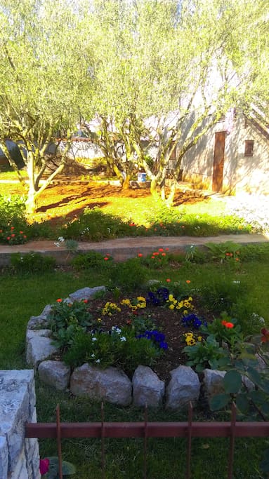 Flower pool in front of the house