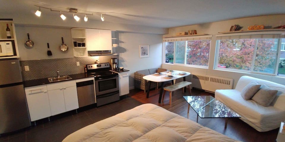 Down town apt