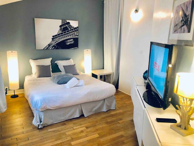 LYON HYPERCENTRE PIED DU METRO + NETFLIX