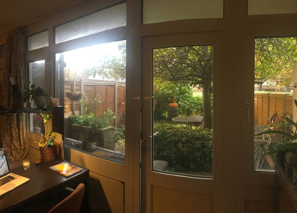 The garden from the room