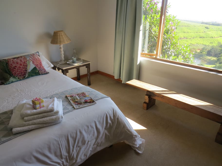 Spacious, sunny and cozy en-suite main bedroom