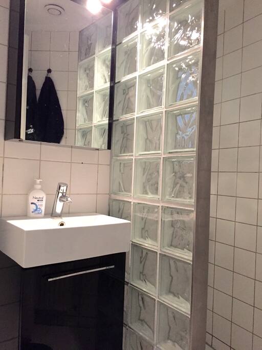 Toilet and shower