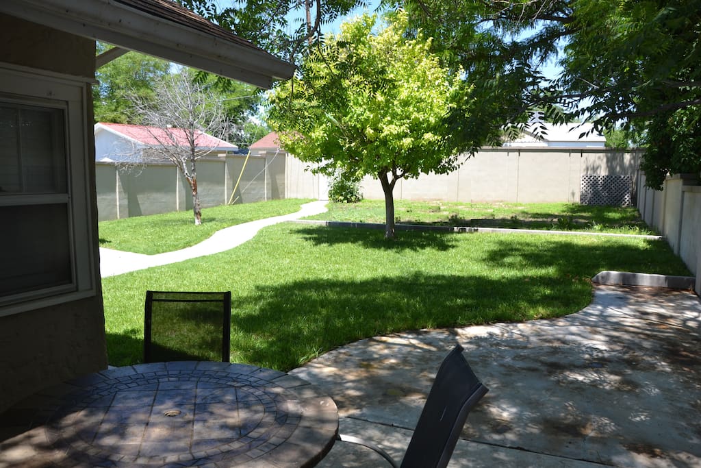 Back yard/patio