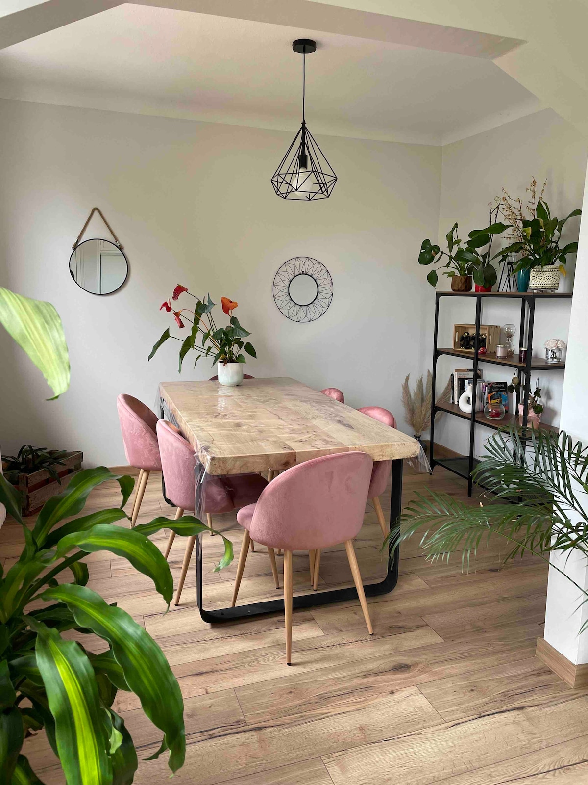 A modern dining area is presented, featuring a rectangular wooden table surrounded by six upholstered pink chairs. A simple pendant light hangs above the table, and plants are positioned around the space. A wall shelf displays decorative items and additional greenery.