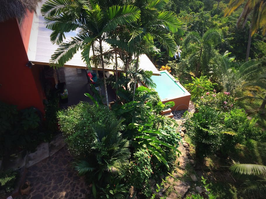 Garden and sitting pool