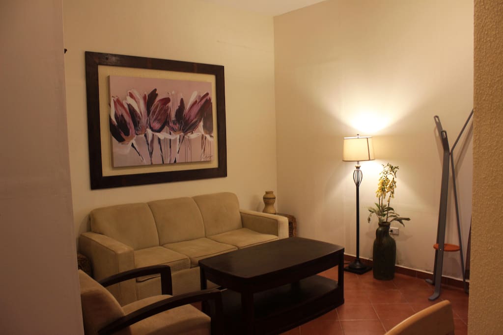 living room, separated from room, comfortable space
