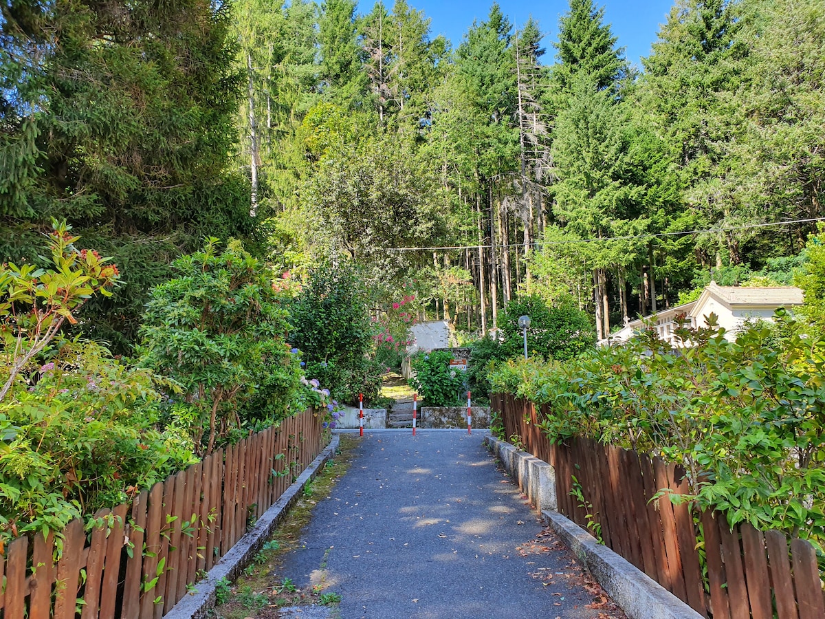 Wake foresta incontri